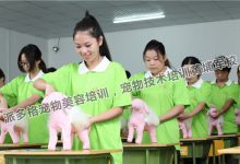 寵物美容教程自學(xué)教程-寵物怎么美容 寵物美容方法-大智網(wǎng)匯