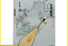 琵琶教程視頻入門教程-怎么學(xué)琵琶的基本方法-大智網(wǎng)匯