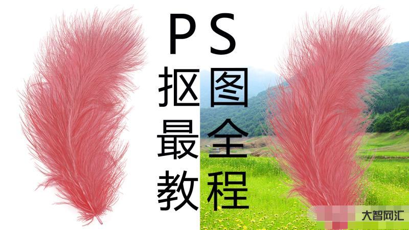ps摳圖教程詳細(xì)教程