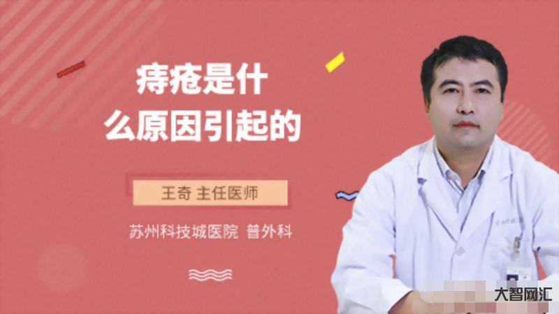痔瘡是什么樣子的