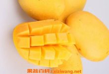 芒果不能和什么一起吃-芒果不能和什么食物一起吃? 詳細_0_3-大智網匯