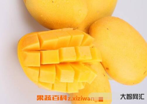 芒果不能和什么一起吃