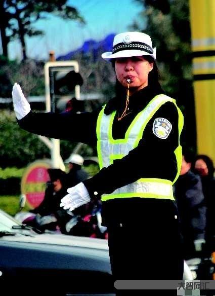 交警電話是多少