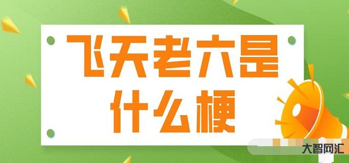 老六是什么意思