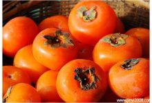 柿子不能和什么食物一起吃-柿子不能與什么同吃的-大智網(wǎng)匯
