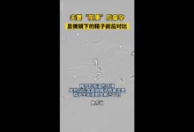夫妻陽康后著急備孕遭勸阻-夫妻備孕需要注意事項多嗎,怎么做能懷上?-大智網匯