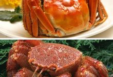 螃蟹不能和哪些食物一起吃-螃蟹不能和什么一起吃-大智網(wǎng)匯