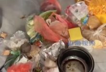 女兒扔掉媽媽囤發毒的20斤食物-海的女兒作文-大智網匯