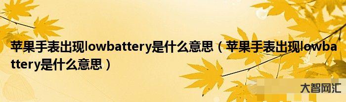 low是什么意思