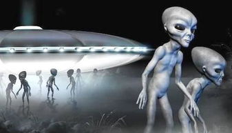 請問有人知道上海外星人電腦總店在哪？要找ALIENWA