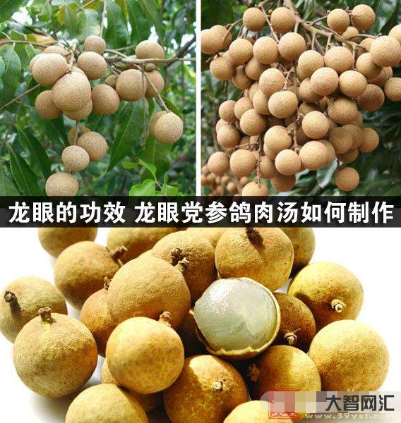 龍眼的功效與作用