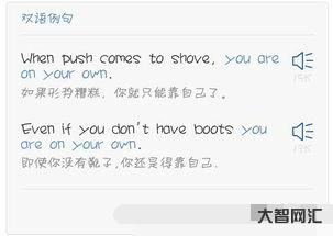 own什么意思