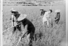 20世紀(jì)50年代是哪一年-20世紀(jì)50年代是幾幾年-1950年代是幾幾-大智網(wǎng)匯