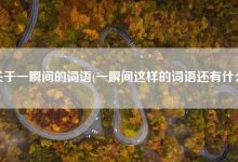 又什么又什么的詞語-又什么又什么的詞語有哪些-大智網匯