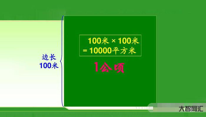 3、一公頃多少畝地？