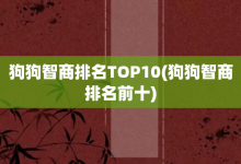 狗狗智商排名TOP10-狗狗智商排名前十-大智網匯