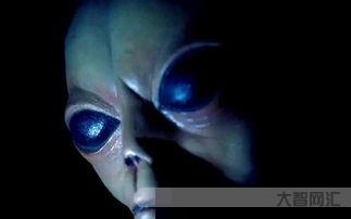 外星人電腦官網是哪個？