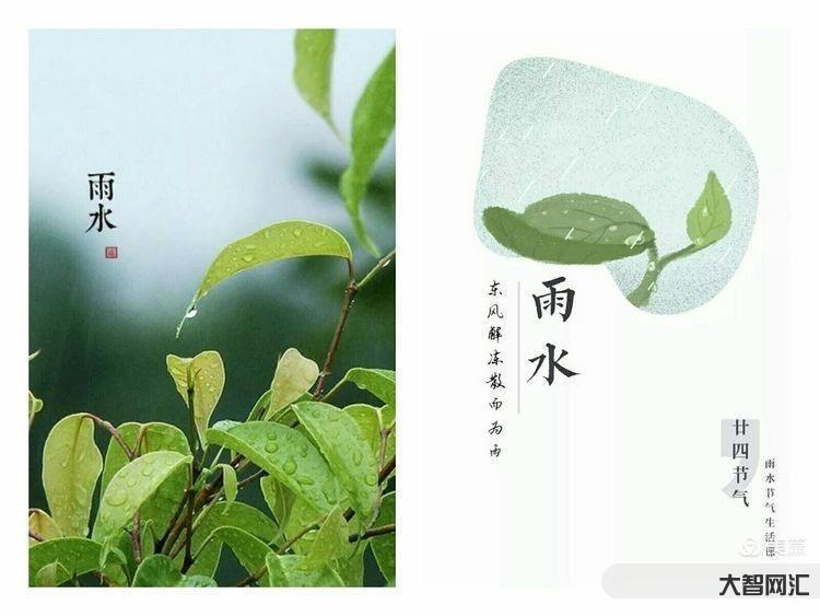 雨水的雨水的含義