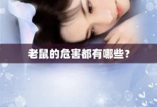 老鼠的危害都有哪些?-大智網匯