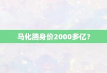馬化騰身價2000多億?-大智網匯