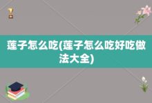 蓮子怎么吃-蓮子怎么吃好吃做法大全-大智網(wǎng)匯