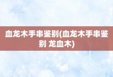 血龍木手串鑒別-血龍木手串鑒別 龍血木-大智網匯