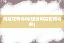 海棠花有毒嗎-玻璃海棠花有毒嗎-大智網(wǎng)匯