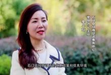 與多人發生不正當性關系,云南80后正廳級女干部段穎..-90后公務員與-大智網匯