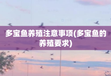 多寶魚養(yǎng)殖注意事項(xiàng)-多寶魚的養(yǎng)殖要求-大智網(wǎng)匯