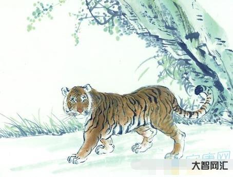 1、86年屬什么的