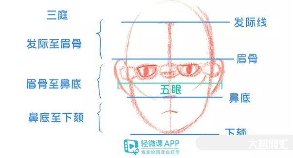 1、五官是指五官