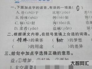雪白的什么詞語填空