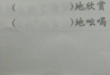 雪白的什么填詞語-雪白的什么填詞語一年級-大智網匯