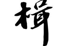 楫怎么讀-楫怎么讀音是什么-大智網匯