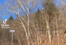 美國俄亥俄州氯乙烯泄露,居民緊急撤離,記者直播報道時被捕,具體情況如何?氯乙烯泄露有多嚴重?-大智網匯