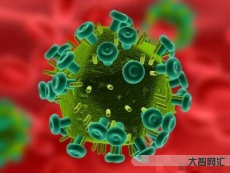 2、什么病毒是艾滋病毒?DNA還是RNA?