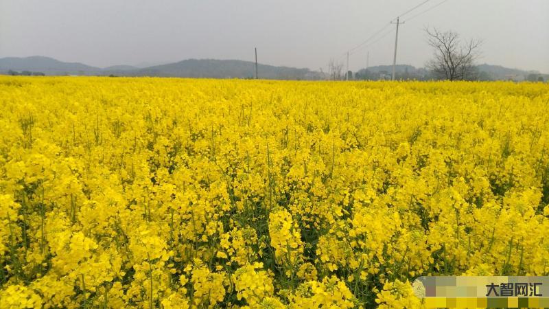 樅陽何時是晴天天氣-【天氣】熱!熱!熱!“高溫周”來襲! 樅陽何時是晴天天氣-【天氣】熱!熱!熱!“高溫周”來襲!
