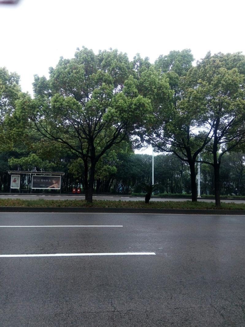 慈溪的小廣場-慈溪公安夜市開起“警民小鋪”