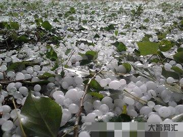 每年幾月份冰雹多一些-2月份打雷、下冰雹正常嗎?聽聽專家怎么說 每年幾月份冰雹多一些-2月份打雷、下冰雹正常嗎?聽聽專家怎么說