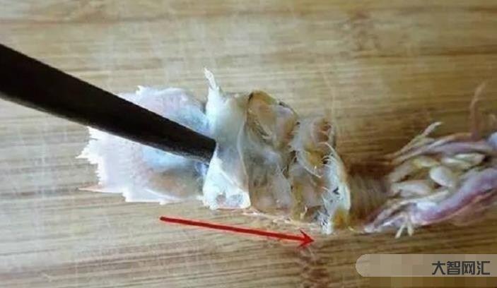 給大家科普下皮皮蝦如何快速剝皮