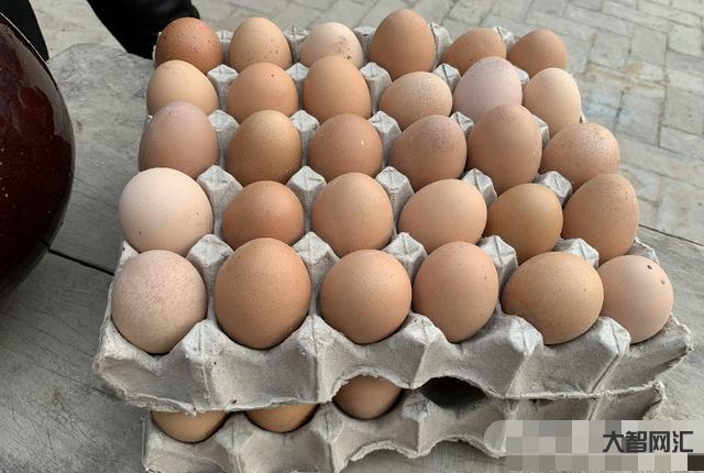 哪里的雞蛋25元一斤呢-昆明雞蛋漲價了 哪里的雞蛋25元一斤呢-昆明雞蛋漲價了