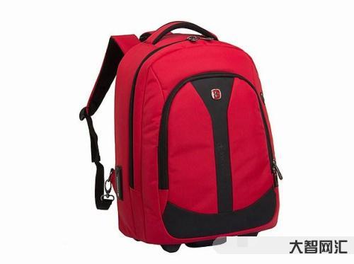 誰知道swissgear叫什么牌子（swisse是啥牌子）