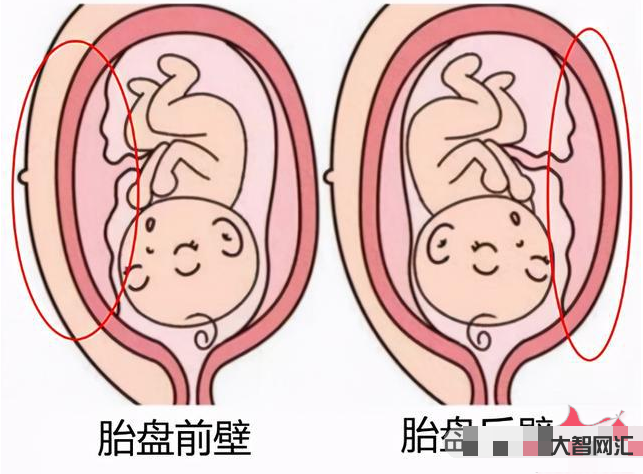 有胎盤了一般是幾周生-生與熟 胎盤幾級暗示媽媽就要生啦? 有胎盤了一般是幾周生-生與熟 胎盤幾級暗示媽媽就要生啦?