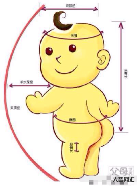 4、雙勁9.0是什么意思？