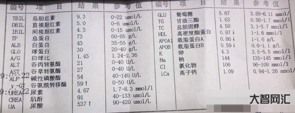 2、谷酰轉肽酶高怎么回事?