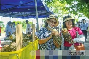 維生素D341.3-維生素別再瞎補(bǔ),了解完這些維生素科普知識(shí)再說(shuō) 維生素D341.3-維生素別再瞎補(bǔ),了解完這些維生素科普知識(shí)再說(shuō)