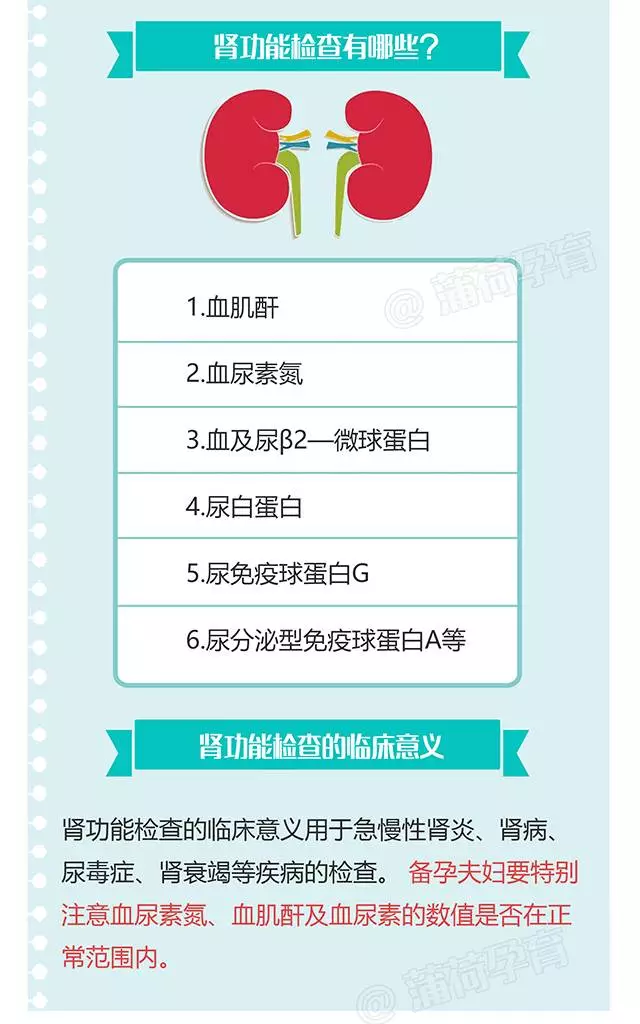 1、什么是腎功能檢查?
