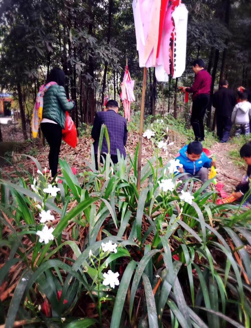 清明節(jié)閏二月能上墳嗎-“閏月清明莫上墳,上墳禍事找上門”,今年清明不讓 清明節(jié)閏二月能上墳嗎-“閏月清明莫上墳,上墳禍事找上門”,今年清明不讓