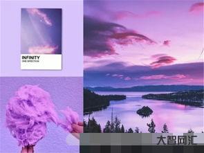 給大家科普下violet叫什么顏色（violet叫什么顏色如何讀）