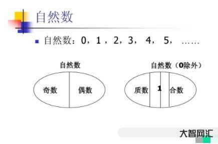 自然數有哪些?